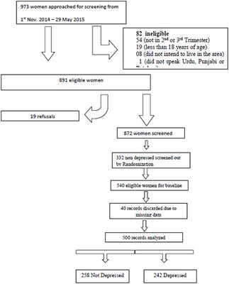 Predictors of Prenatal Depression: A Cross-Sectional Study in Rural Pakistan